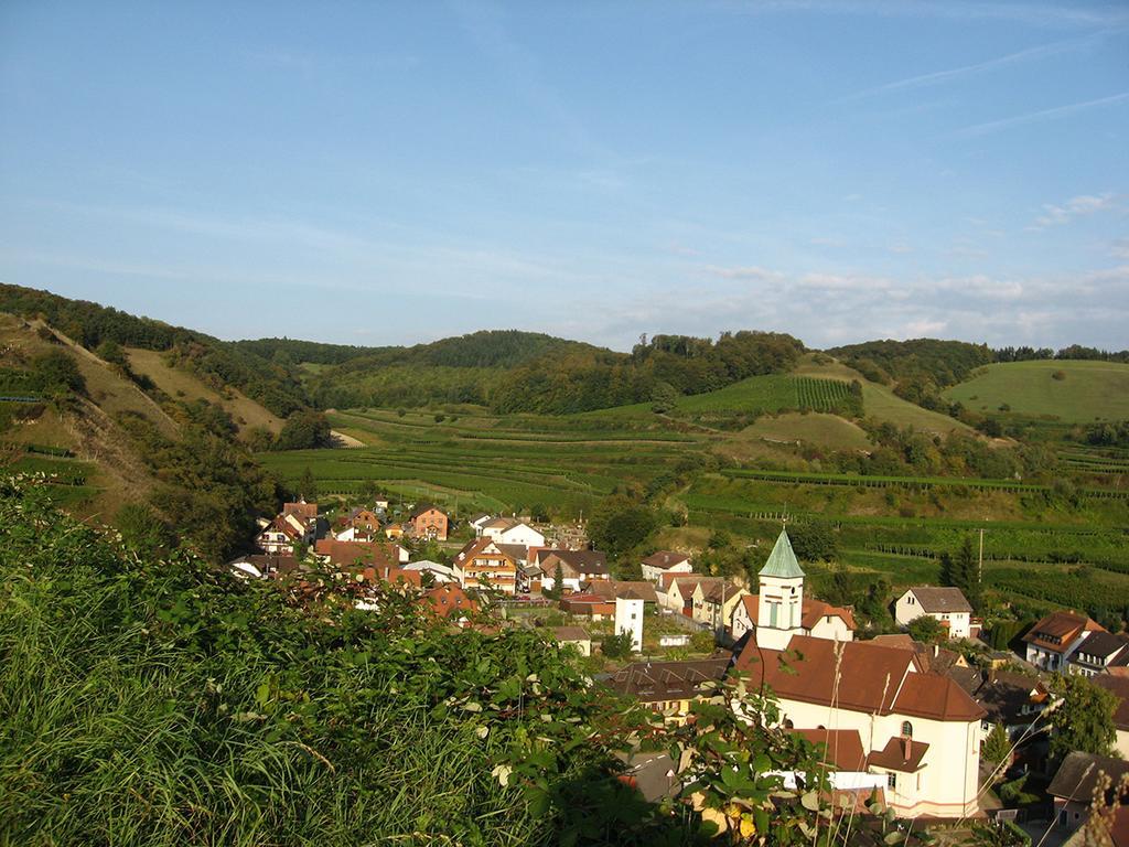 Die Sprachpension - The Language Guesthouse Vogtsburg Exteriér fotografie