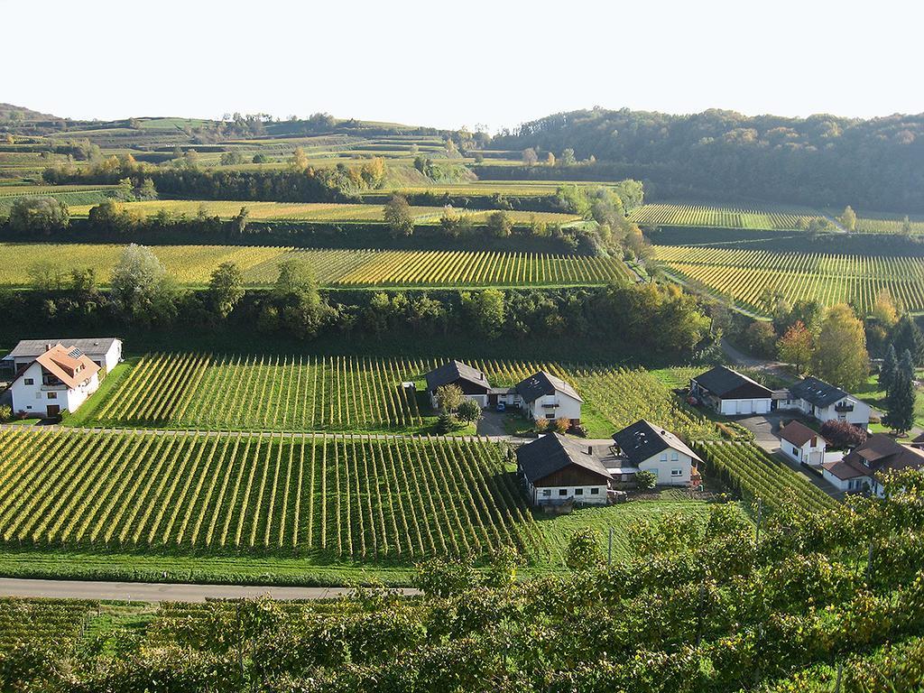 Die Sprachpension - The Language Guesthouse Vogtsburg Exteriér fotografie